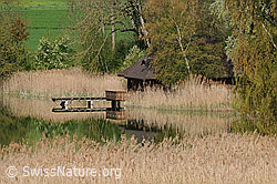 F057245: Idylle am See mit Spiegelung