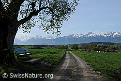 F057280: Aussichtspunkt auf Bergkette