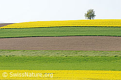 F057443: Äcker und Felder