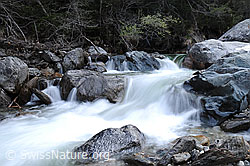 F057662: Langzeitbelichtung Bergbach und Felsblöcke
