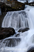 F057726: Wasserfall in Bergbach