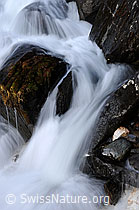 F057728: Langzeitaufnahme