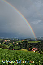 F058021: Regenbogen