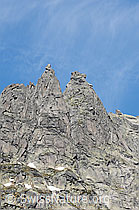 F058282: Chlys Gelmerhorn