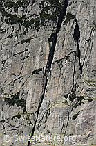 F058290: Verschneidung