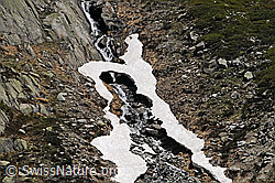 F058292: Schneebrücke über Bergbach