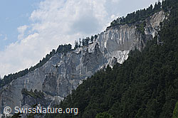 F058732: Felstürme in der Rheinschlucht