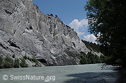 F058741: Felsen und Wasser in der Rheinschlucht