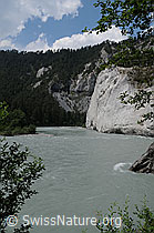 F058769: Flusslandschaft Ruinaulta