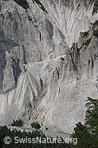 F058787: Tiefblick in die Rheinschlucht