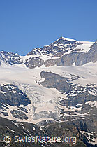 F058816: Piz Cambrena und Vadret dal Cambrena.