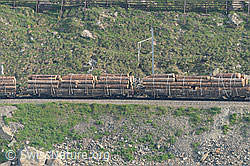F058823: Holztransport per Eisenbahn