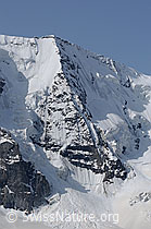 F058836: Piz Spinas und Westpfeiler