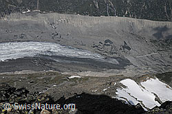 F058855: Gletscherzunge des Morteratschgletschers