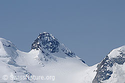 F058866: Crast Agüzza