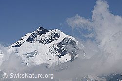 F058881: Piz Bernina und Biancograt
