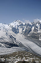 Foto: Piz Bernina, Piz Alv, Piz Prievlus und  Piz Morteratsch