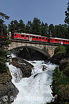 F059055: Eisenbahnbrücke