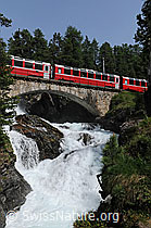 F059058: Rhätische Bahn (Unesco-Welterbe)