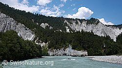 F059174: Flusslandschaft Rheinschlucht, Graubünden