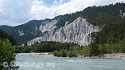 F059178: Flusslandschaft Vorderrhein