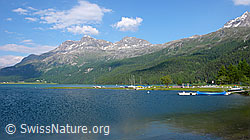 F059191: Silvaplanersee