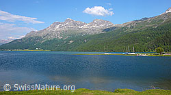 F059193: Silvaplanersee