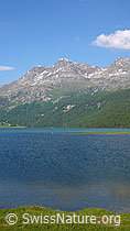 F059194: Silvaplanersee