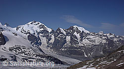 Foto: Piz Bernina und Piz Morteratsch