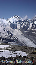 Foto: Piz Bernina und Morteratschgletscher