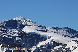 Foto: Chaltwassergletscher und Monte Leone