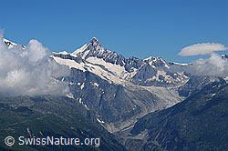 F059436: Finsteraarhorn und Fieschergletscher