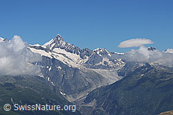 F059437: Finsteraarhorn und Fieschergletscher aus der Region Breithorn (Binntal)