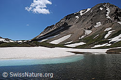 F059528: Auf der Ebene vor dem Saflischpass