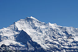Foto: Jungfrau und Silberhorn