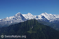 F059811: Dreigestirn Eiger, Mönch und Jungfrau.