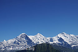 F059812: Dreigestirn Eiger, Mönch und Jungfrau