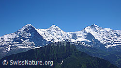 F059910: Dreigestirn Eiger, Mönch und Jungfrau