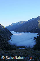 F060366: Nebelmeer über dem Saastal