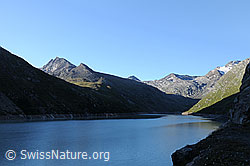 F060369: Morgen am Mattmarkstausee