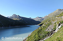 F060371: Morgen am Mattmarksee