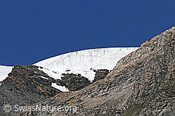 F060373: Eiswand am Fluchthorn