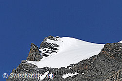 F060374: Fluchthorn von NE