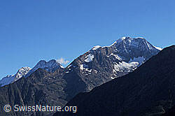 Foto: Fletschhorn, Lagginhorn und Weissmies von SW