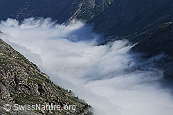 F060388: Nebelmeer über dem Saastal