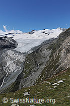 Foto: Schwarzberggletscher