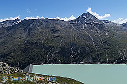 F060434: Stausee und Staudamm Mattmark und Stellihorn