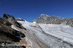 F060437: Üssere Turu und Allalingletscher