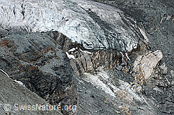 Foto: Zunge des Hohlaubgletschers