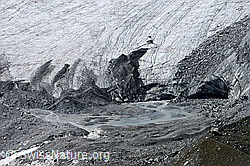 Foto: Gletschertor und Gletschervorfeld Schwarzberggletscher